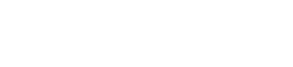 dr.dub logo